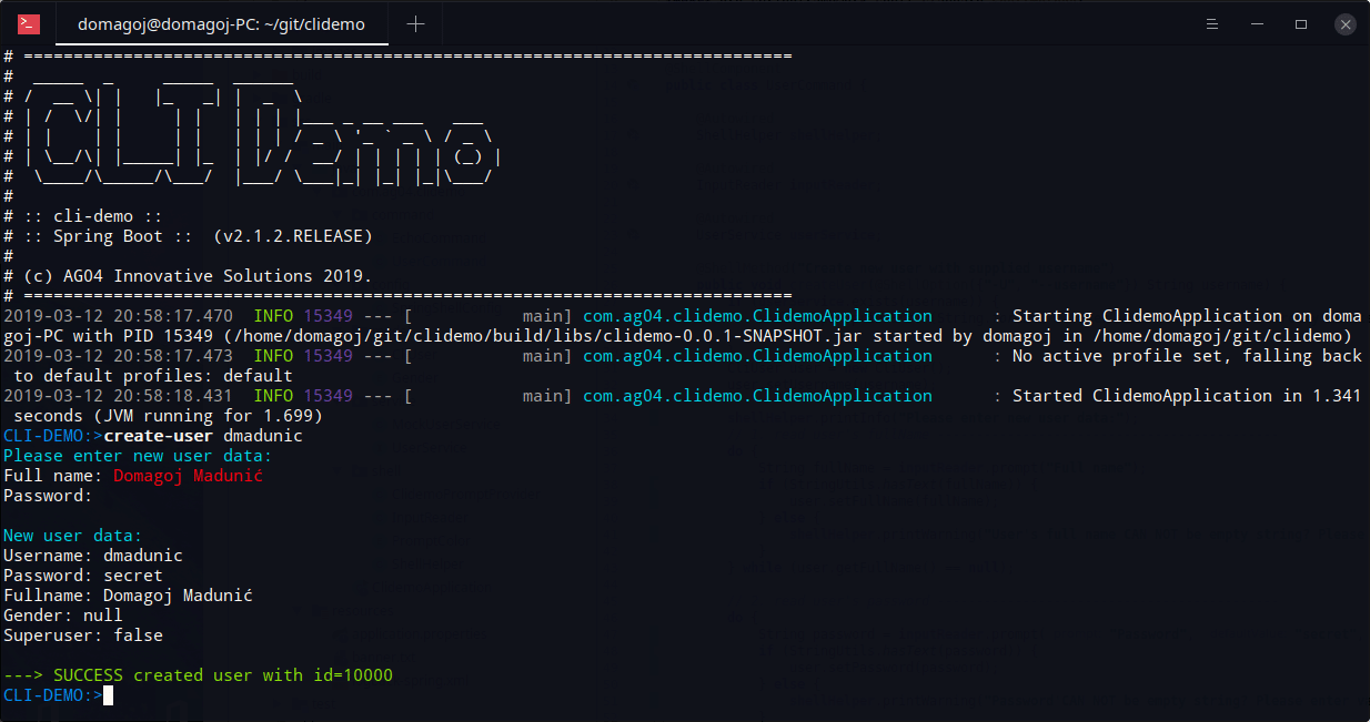 Developing CLI Application with Spring Shell user command