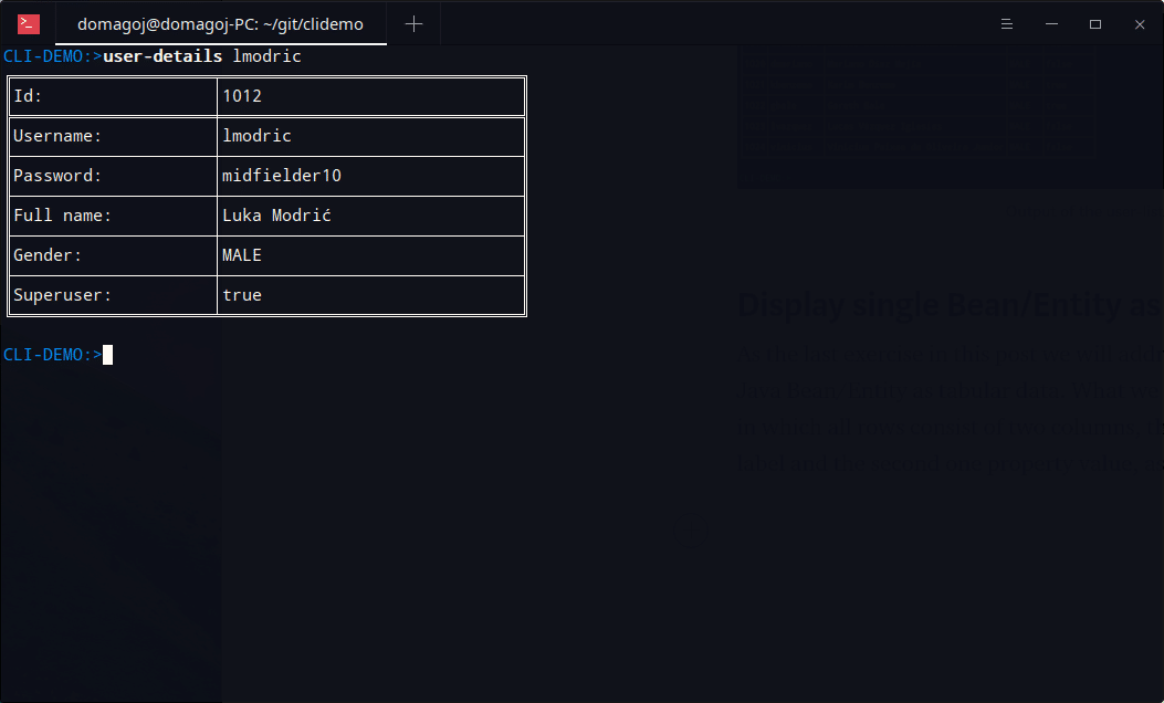 Developing CLI Application with Spring Shell single entity display table